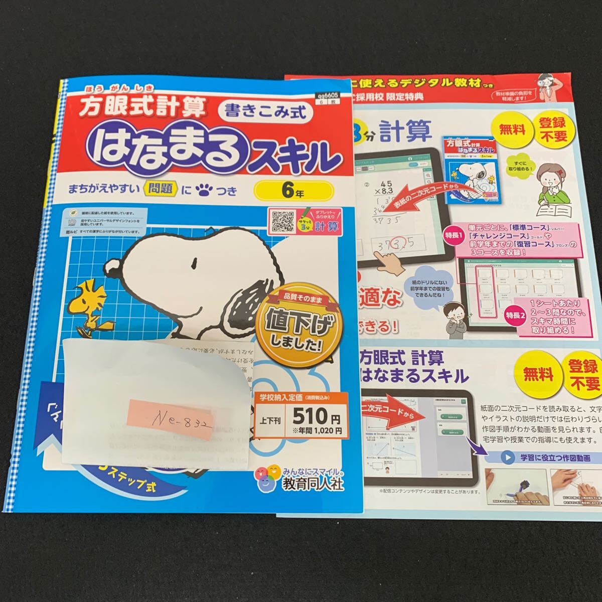Ne-832/6年生/教育同人社/小学生 国語 算数 英語 社会 理科 漢字 家庭科 テキスト テスト用紙 教材 文章問題 計算/L7/70507拍卖