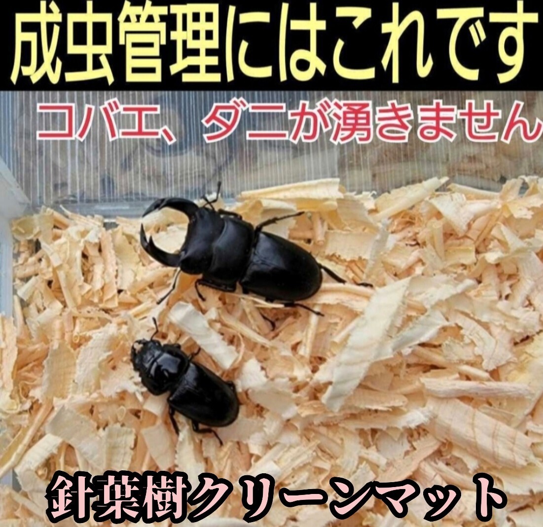 クワガタの成虫飼育はコレ!爽やかな香りの針葉樹クリーンマット ケース内が明るくなり生体が目立ちかっこよく見える! ダニ防止にも最適拍卖