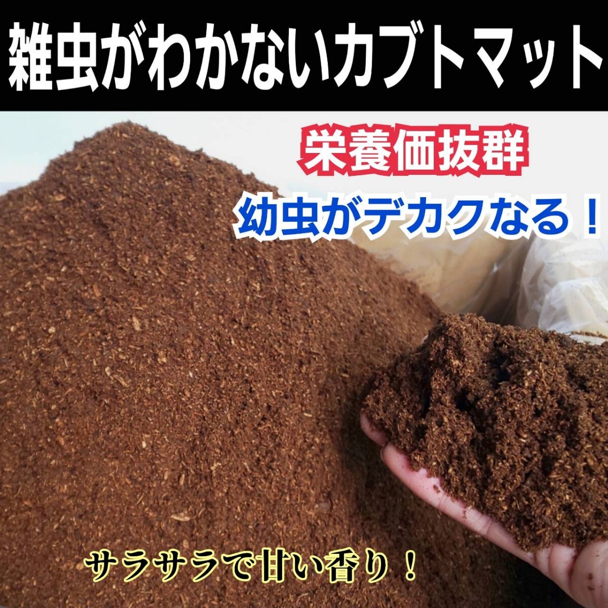 カブトムシ幼虫が大きくなります! 国産88ミリ羽化実績 ヒマラヤひらたけ発酵マット クヌギ100%原料 コバエ、雑虫がわかない!産卵にも拍卖