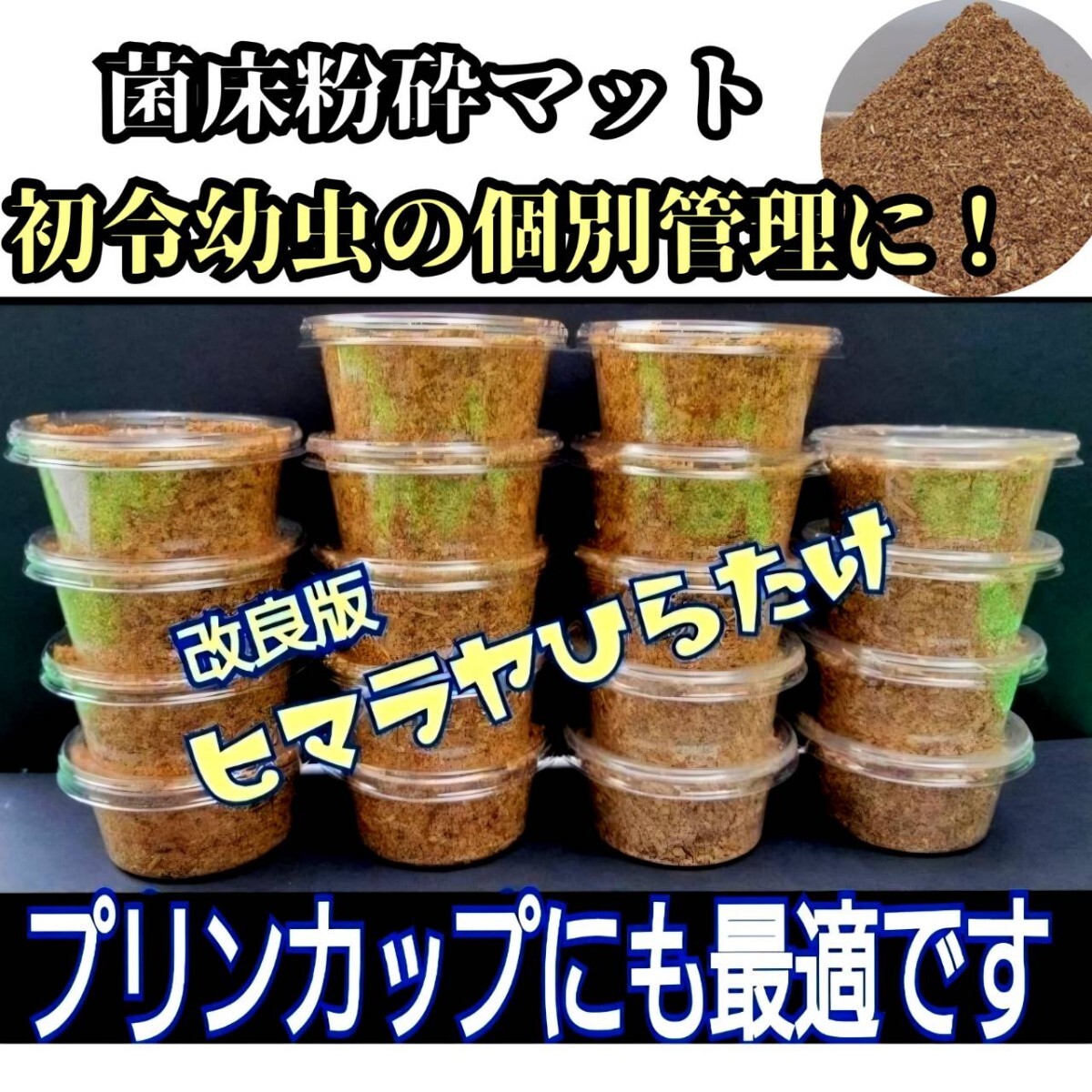 クワガタ幼虫専用 ヒマラヤひらたけ菌床粉砕マット ボトルやカップに詰めるだけ!菌糸の甘い香りがします 菌糸瓶よりコスパ良いです拍卖