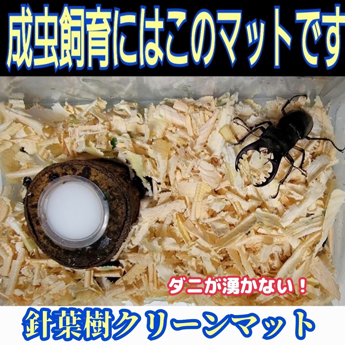 クワガタの成虫飼育はコレ!爽やかな香りの針葉樹クリーンマット ケース内が明るくなり生体が目立ちかっこよく見える! ダニ防止にも最適拍卖