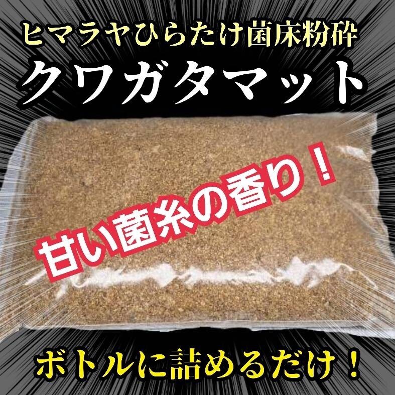 クワガタの幼虫専用! ヒマラヤひらたけ菌床粉砕マット ボトルやカップに詰めるだけ!菌糸の甘い香りがします!菌糸瓶よりコスパ良い拍卖