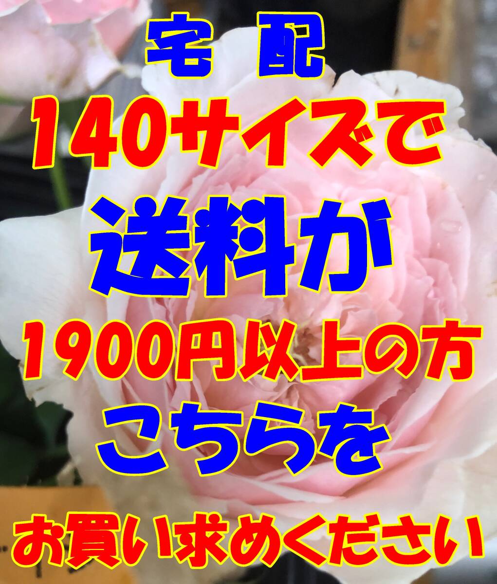 送料としてお買い求めください E140 日本全国同一金額  140サイズ迄で送料が1900円以上の方ヤフネコ宅急便拍卖