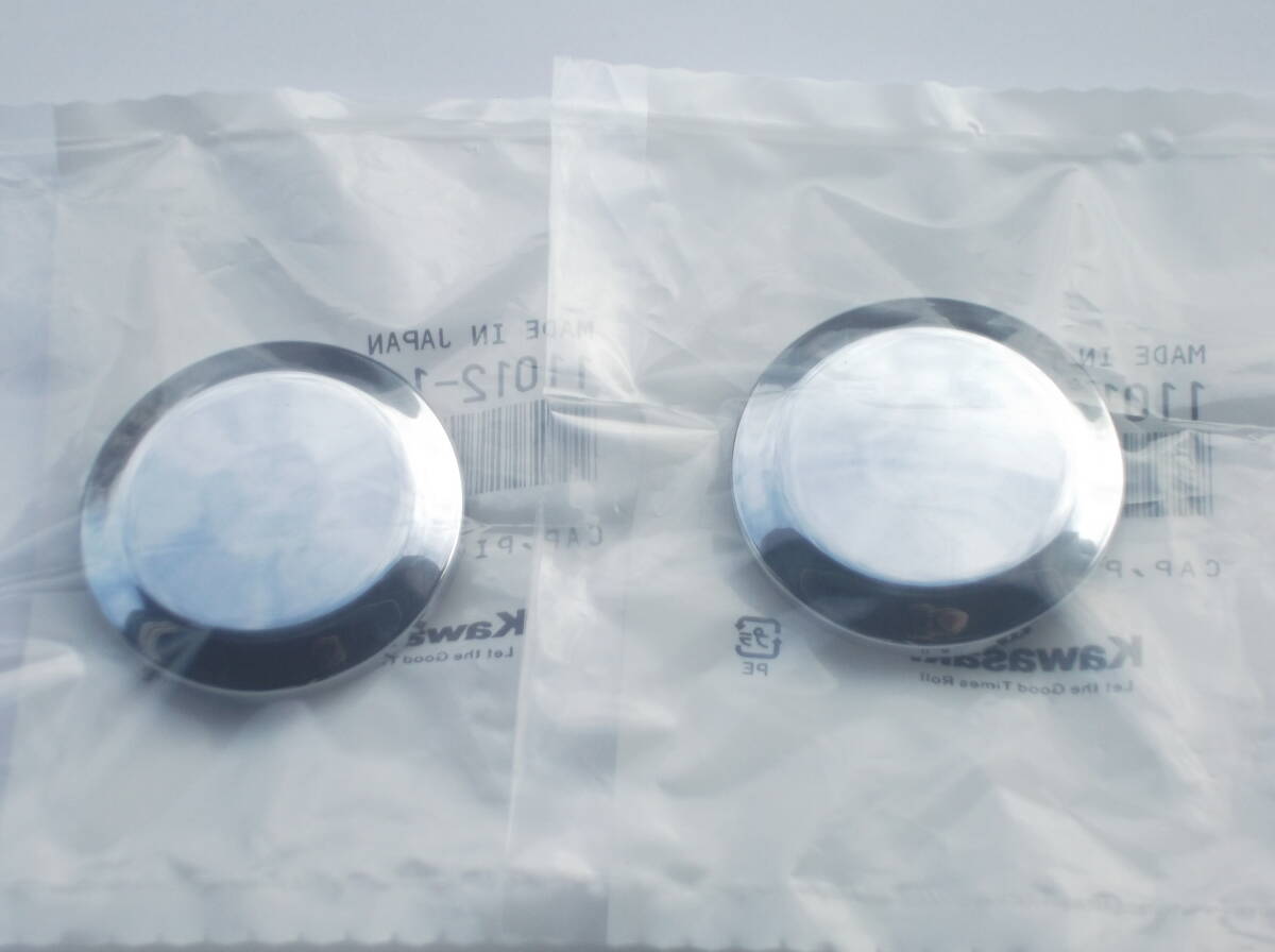 新品 純正 エリミネーター125 250TR ピポットキャップ拍卖