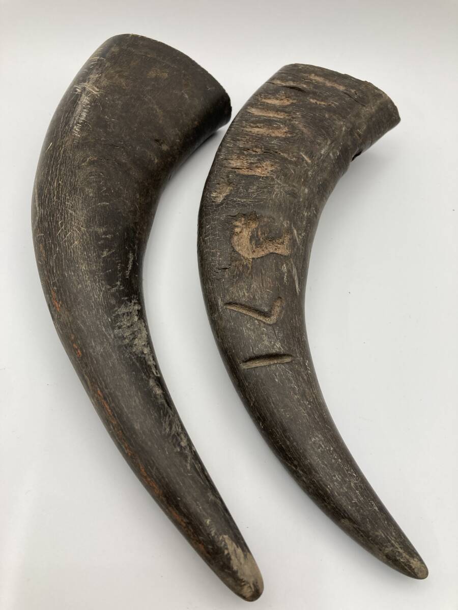 「5282」水牛の角 2本 長さ約24㎝ 重量約1009g 置物 オブジェ インテリア アンティークレトロ 彫刻 印鑑拍卖
