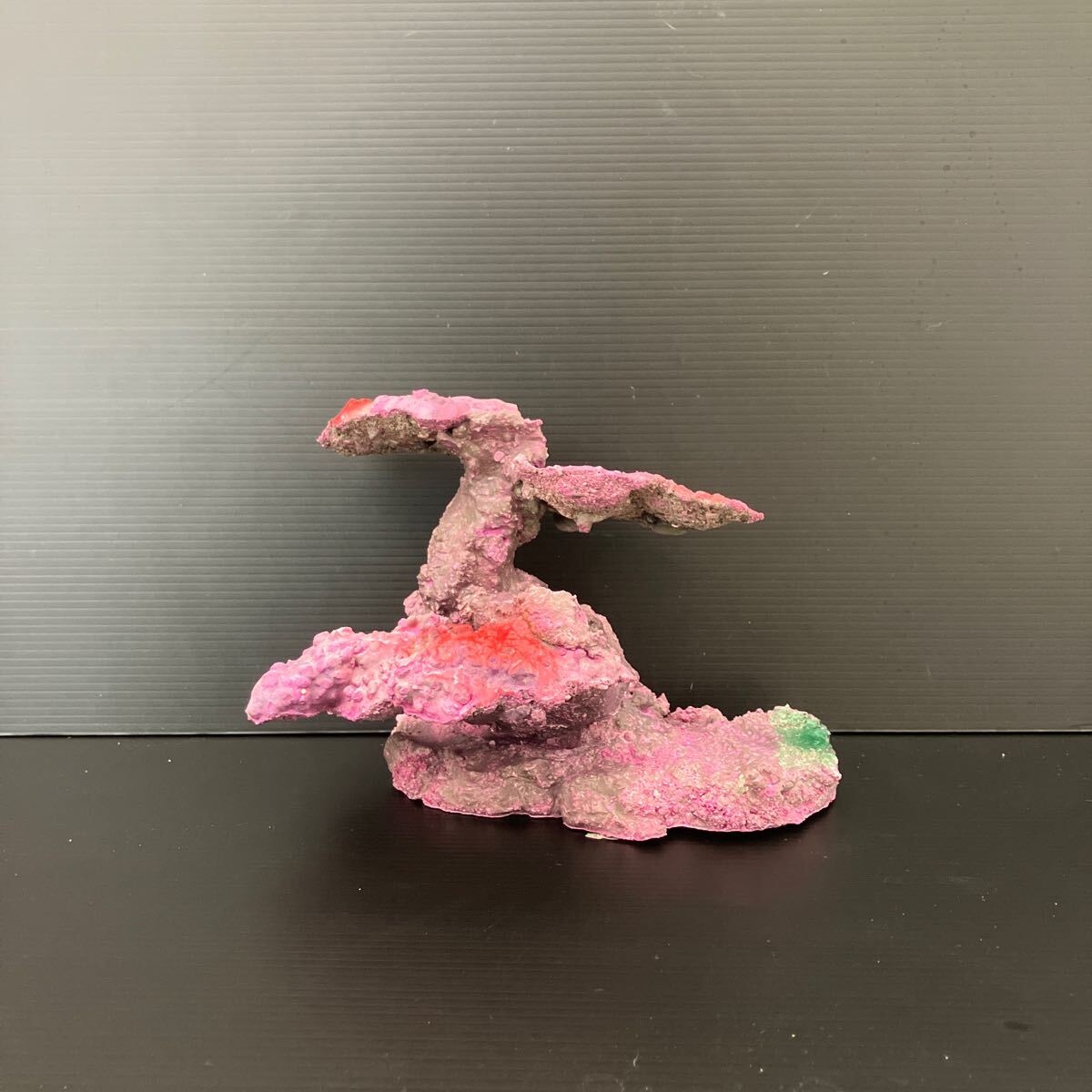 【現物】ライブロック No.20(海水魚、サンゴ、バクテリア、背景、レイアウト、水槽)拍卖