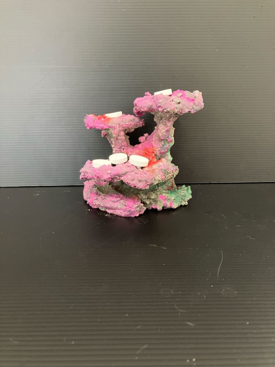 【現物】ライブロック(フラグ加工) No.1(海水魚、サンゴ、バクテリア、背景、レイアウト、水槽)拍卖