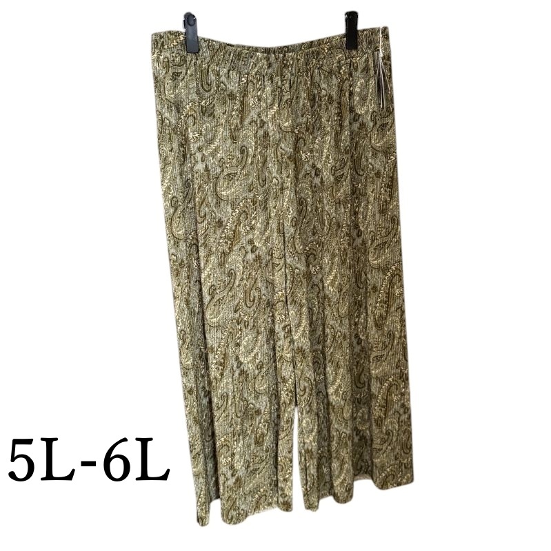 BLISTORM レディース ワイドパンツ プリーツ加工 ライトグリーン 5L-6L拍卖