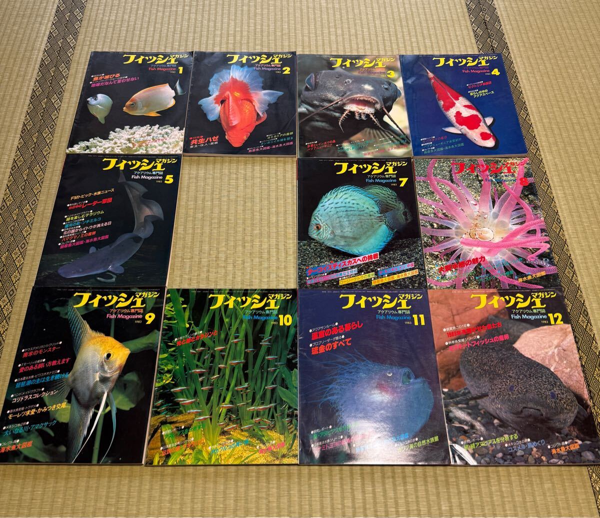 フィッシュマガジン FISH MAGAZINE アクアリウム専門誌 1983年1月号〜12月号セット 6月号欠品 緑書房拍卖