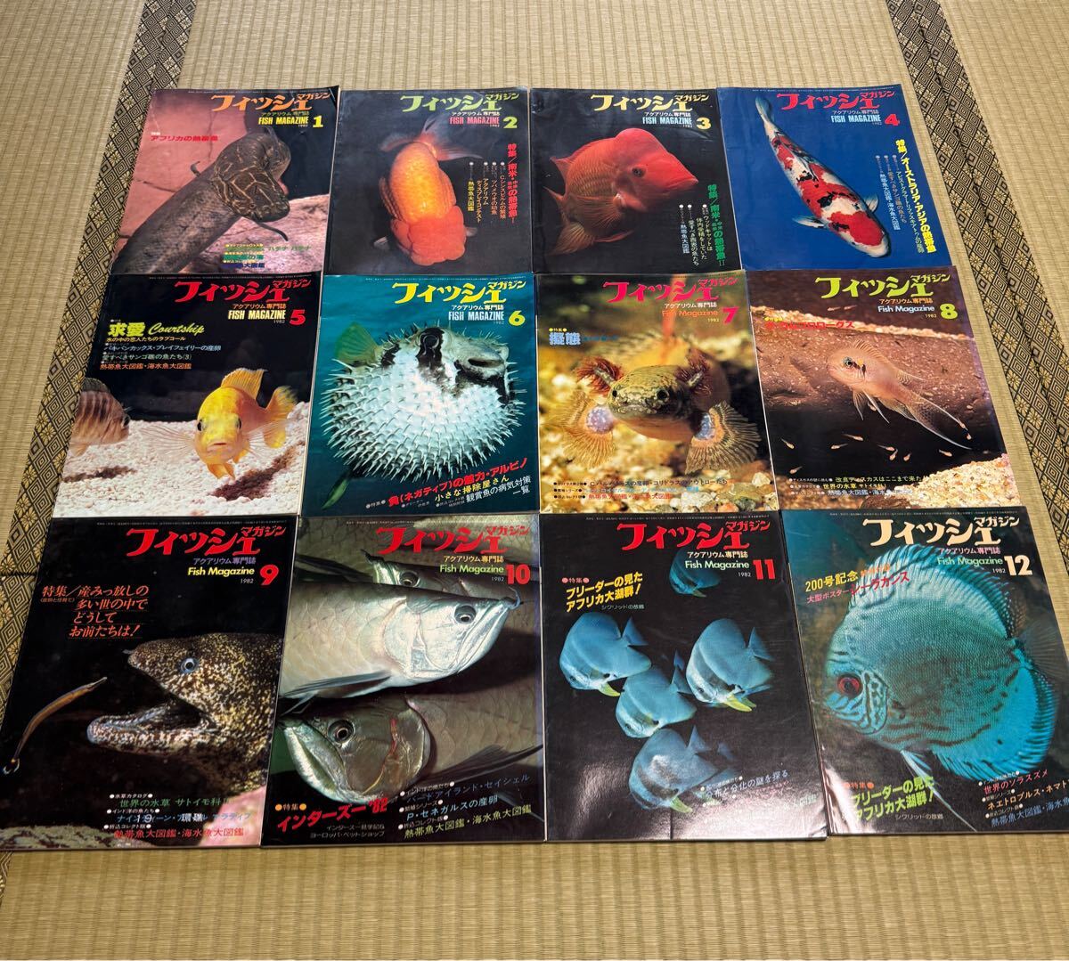 フィッシュマガジン FISH MAGAZINE アクアリウム専門誌 1982年1月号〜12月号セット 緑書房拍卖