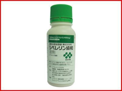 (農薬) ジベレリン 液剤 100ml (園芸用 植調剤) 植物成長調整剤 100cc 果樹 かんきつ 生育促進 開花促進 果実肥大拍卖
