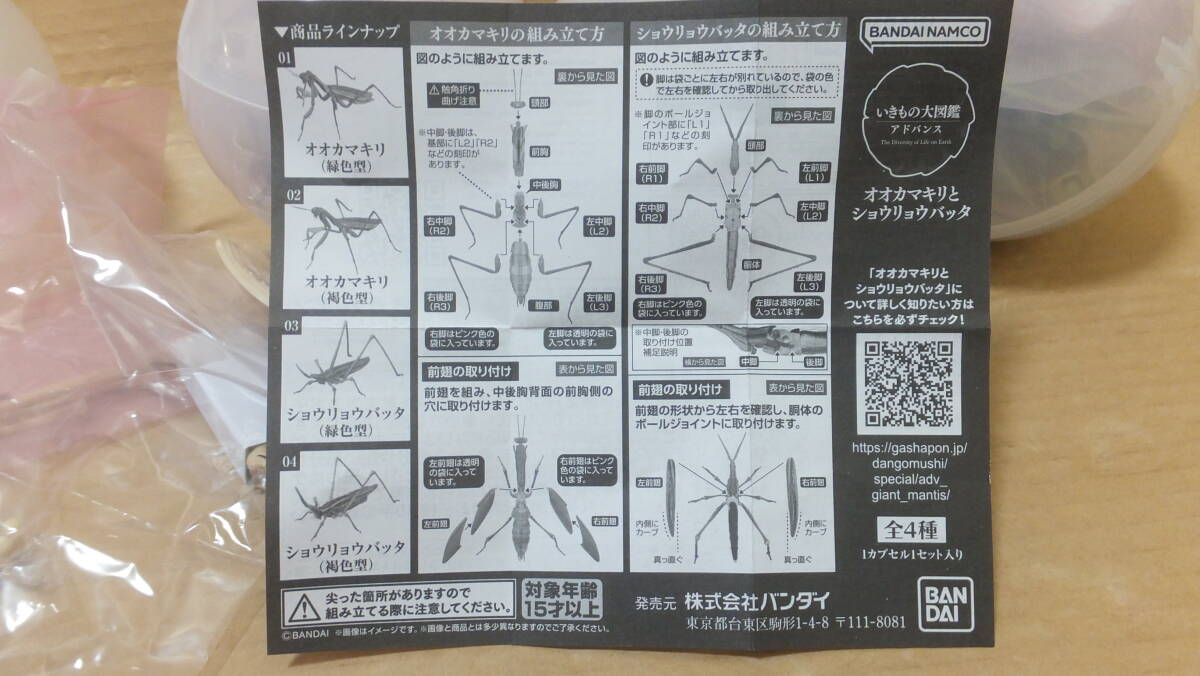 ★超希少!!BANDAI NAMUCO いきもの大図鑑アドバンス オオカマキリとショウジョウバッタ 全4種★ 拍卖
