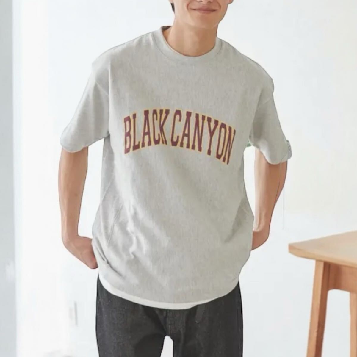 【送料無料】coen コーエン 極みクルーネックプリントTEE 半袖Tシャツ グレー メンズレディース L拍卖