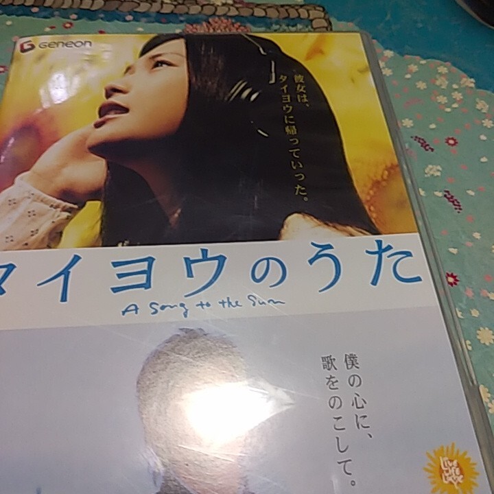 タイヨウのうた スタンダードエディション/小泉徳宏 (監督) YUI塚本高史坂東賢治 (原作、脚本拍卖