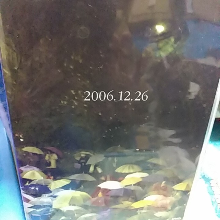 アンジェラアキ MY KEYS 2006 in 武道館/アンジェラアキ拍卖