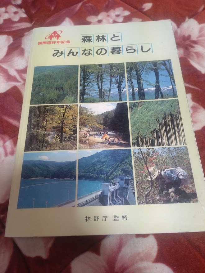 森林とみんなの暮らし 国際森林年記念 林野庁 監修 世界の森林 森林の減少 日本の森林 森林の動き 森林を守り育てる 昭和60年拍卖