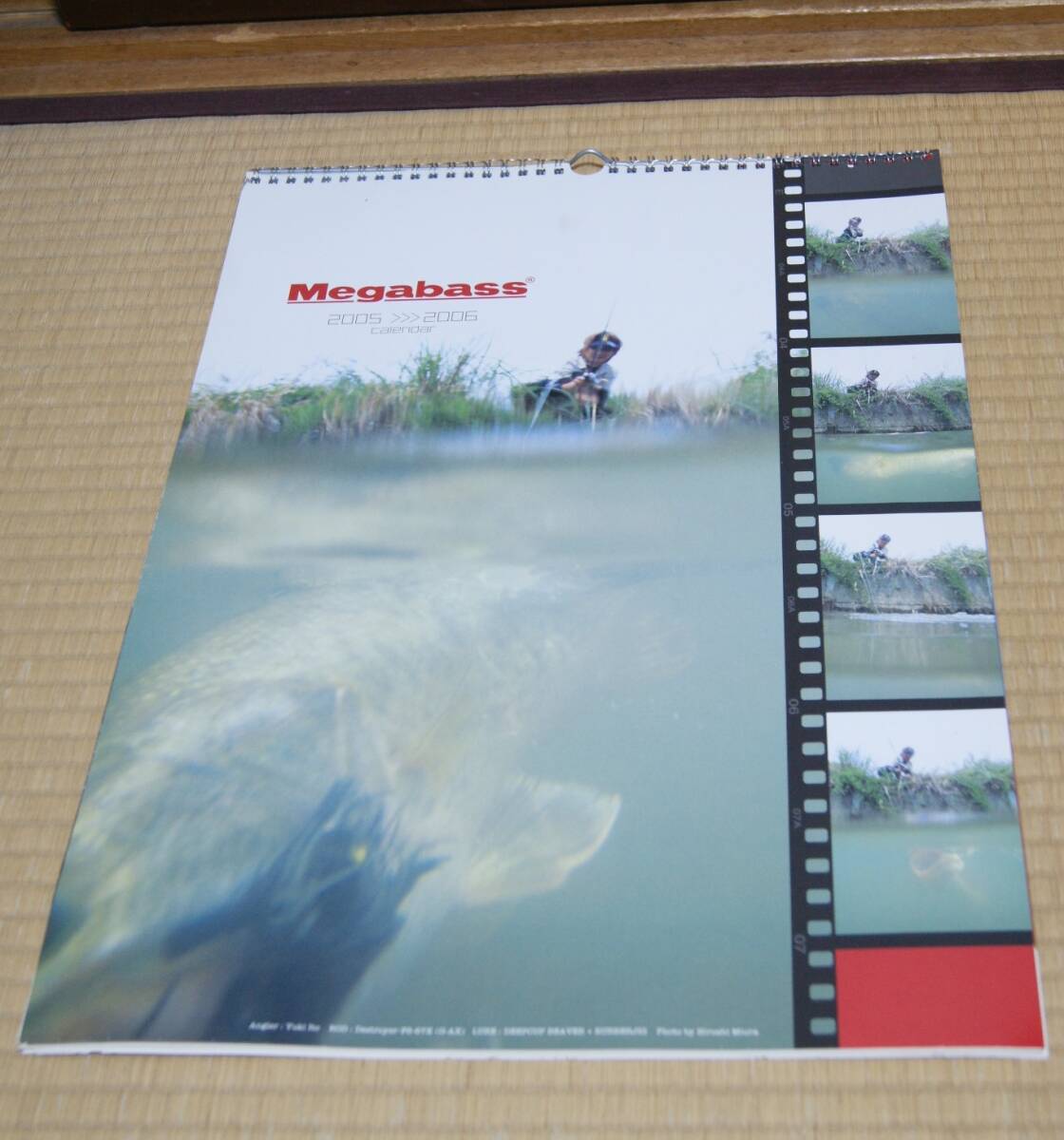 ■中古『Megabass2005-2006カレンダー』使用品 飾り品 メガバス 釣り 伊東由樹 金森隆志 小泉岳司 高橋正樹 アーロン ランディ ダニー拍卖