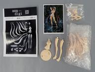 中古フィギュア 虞美人 アサシン 水着ver. 「Fate/Grand Order」 1/10 ガレージキット拍卖