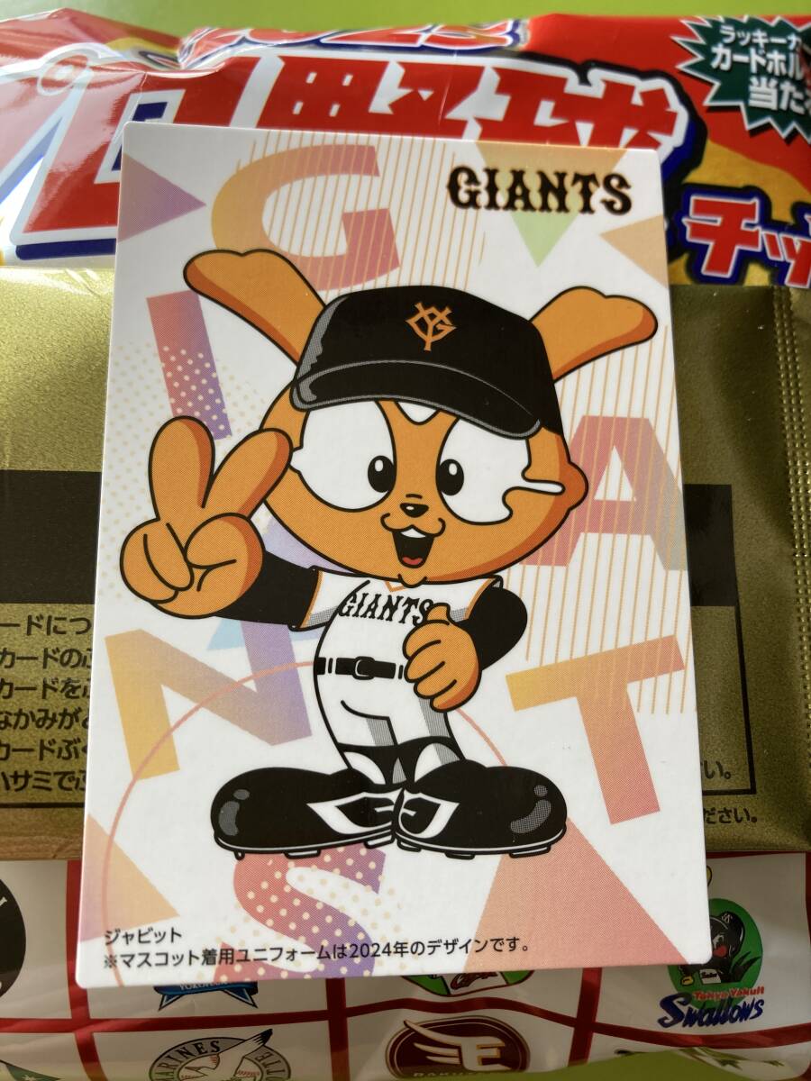 2025 第1弾 C-01 ジャビット(巨人)チェックリスト 球団マスコット カルビー プロ野球チップス 即決 匿名配送対応可 送料85円~拍卖