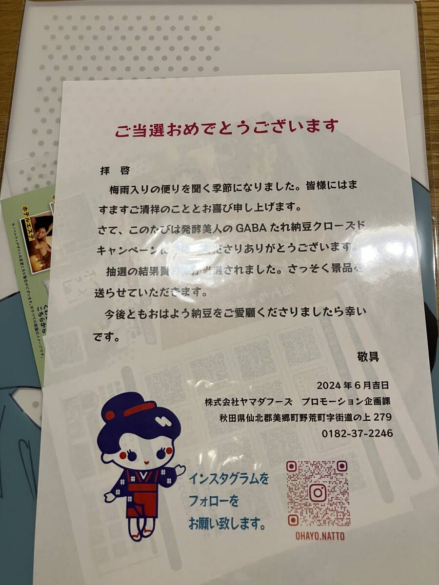 凪 イラストレーター クリアファイル 大小各1枚ずつ拍卖