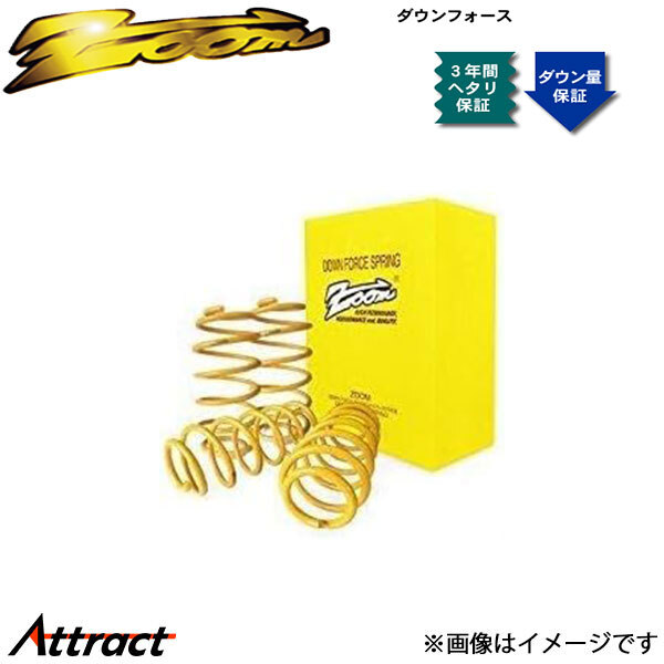 ズーム V40 4B4194W ダウンフォース 1台分 ZVO016005SDF ZOOM ダウンサス スプリング サスペンション拍卖