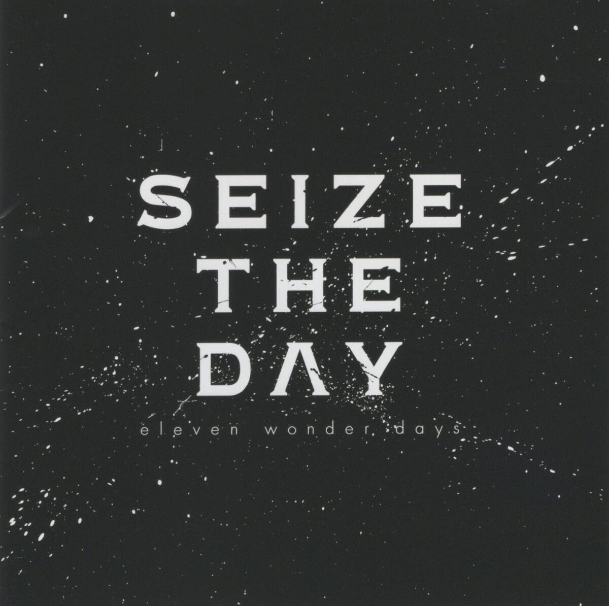 06-61【即決】★送料無料★新品ケース付★SEIZE THE DAY★インディーズ・ベスト★eleven wonder days★2016年★たいぽん★拍卖