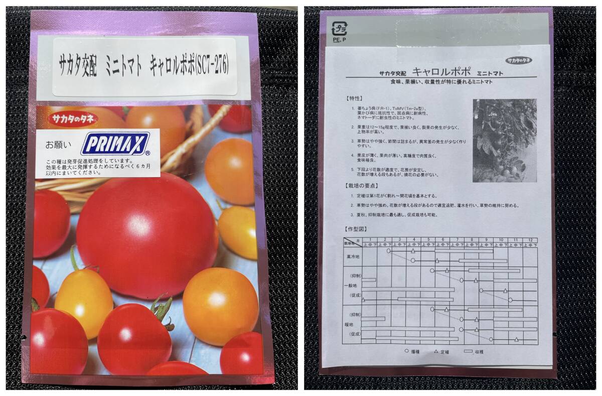 夏に強いミニトマト(キャロルポポ)の種 15粒拍卖