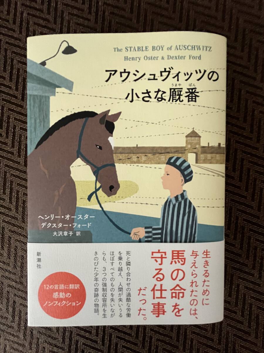 【送料込み】ヘンリー・オースター著「アウシュヴィッツの小さな厩番」(新潮社)拍卖