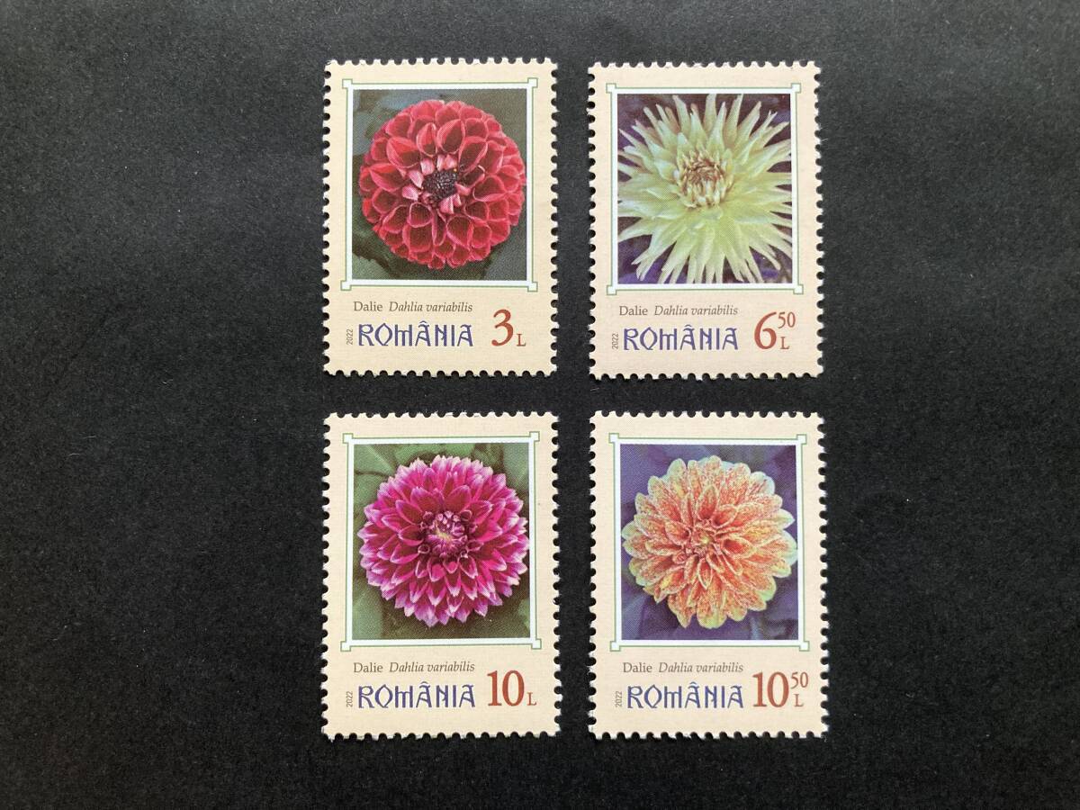 外国切手: ルーマニア切手 「ダリア」4種完 未使用拍卖