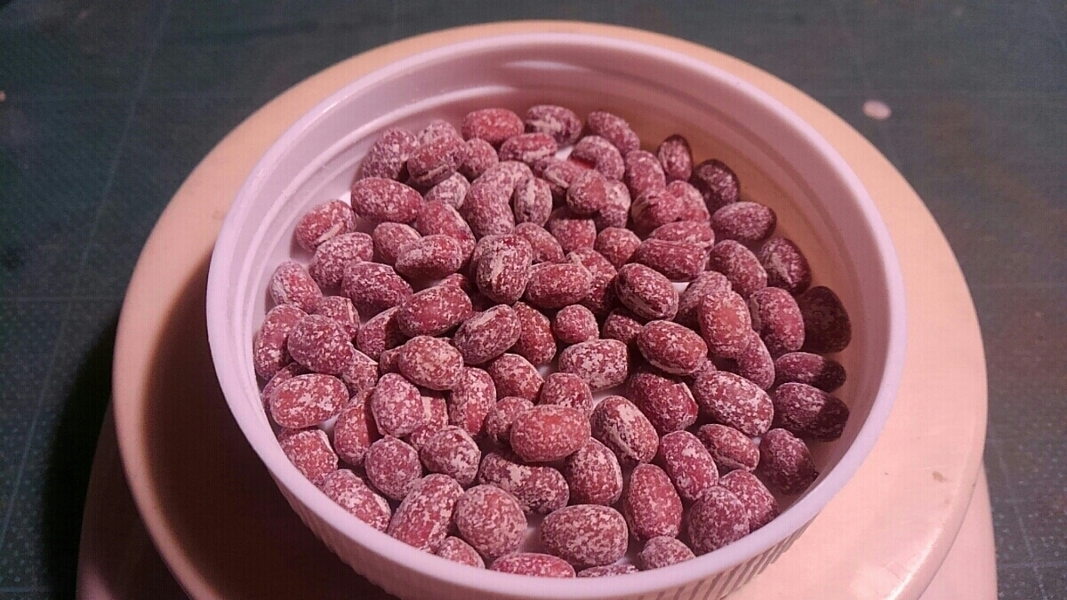 北海道小豆きたろまん種子 消毒済 300粒位 その2拍卖