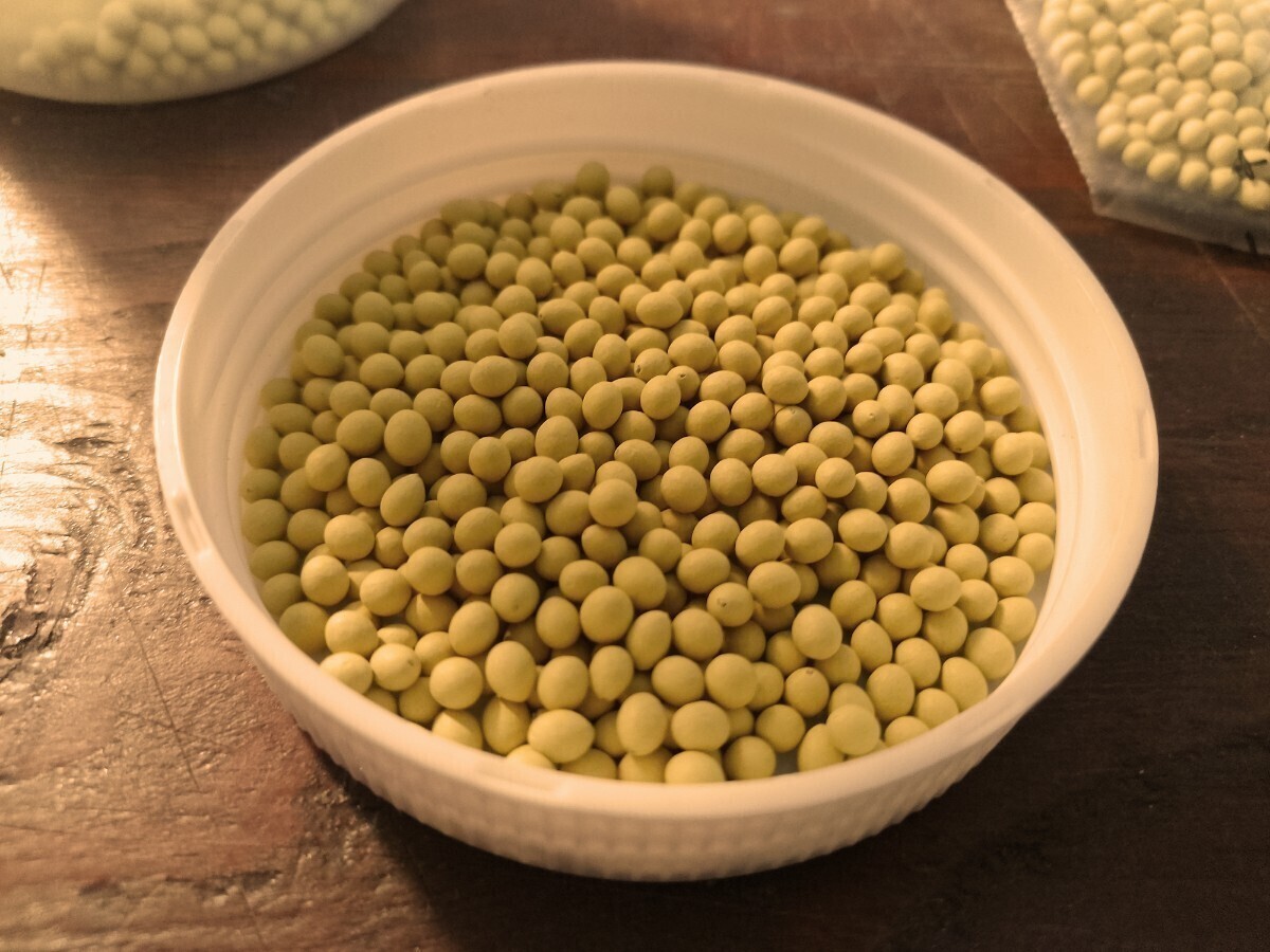 春・夏まき人参の種 品種名アロマ810 約50粒位③ アロマレッドシリーズ多収穫タイプ拍卖