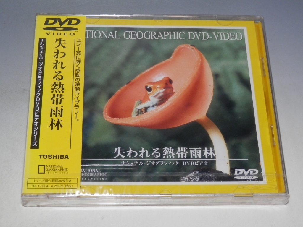 ◇ 未開封 ナショナル・ジオグラフィック DVDビデオシリーズ 失われる熱帯雨林 DVD TDLT-0004/*ケース割れあり拍卖
