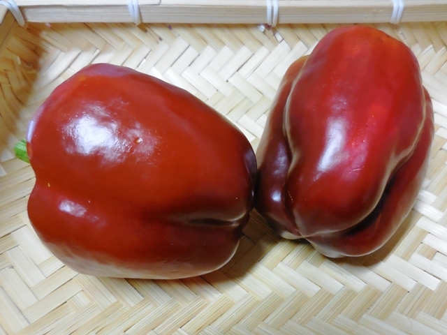 408.6.1◆甘いサラダ パプリカ 赤色 種 15粒◆トライ 家庭菜園 ピーマン 栽培 プランター 菜園◆無農薬 無化学肥料 自然菜園 野菜種苗 通販拍卖