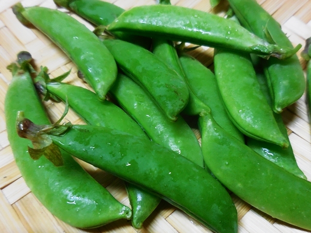 448.6.1◆スナップエンドウ サヤ 実えんどう豆 15粒 人気トライ家庭菜園◆エスディージーズ 無農薬 無化学肥料 自然菜園 野菜種苗 購入販売拍卖