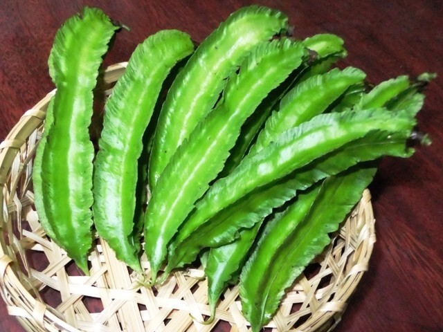 415.6.1◆南国サヤインゲン 四角豆 うりずん豆 10粒◆トライ 家庭菜園 つるあり野菜◆プランター 菜園 栽培 緑のカーテン/グリーンカーテン拍卖