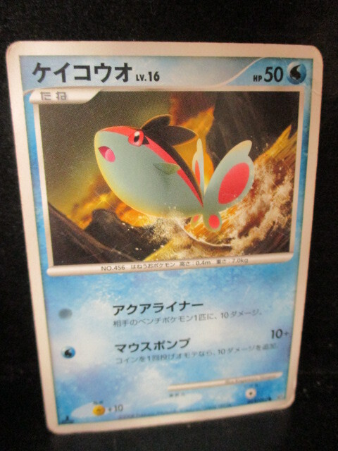 ポケモンカード ケイコウオ 即決!!拍卖