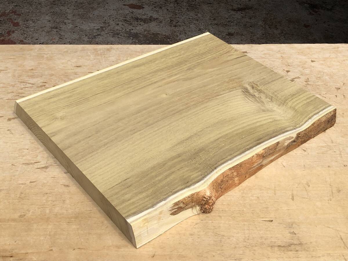 送料無料!ニセアカシア【Y565I】423~426×345~367×35mm 針槐 ハリエンジュ 瘤 木工 DIY 木材 天然木 乾燥材 無垢材《銘木すずめや》拍卖