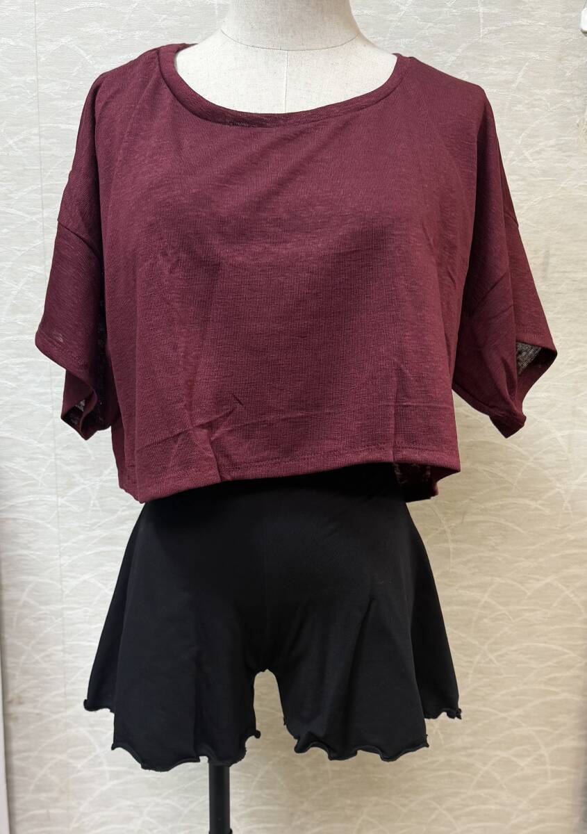 バレエ オーバーサイズトップス メッシュ ワイン/ボルドー フリー拍卖