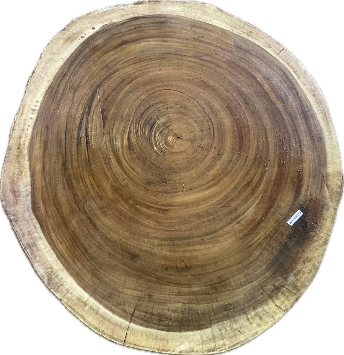 W0195079 モンキーポッド 輪切り 一枚板拍卖