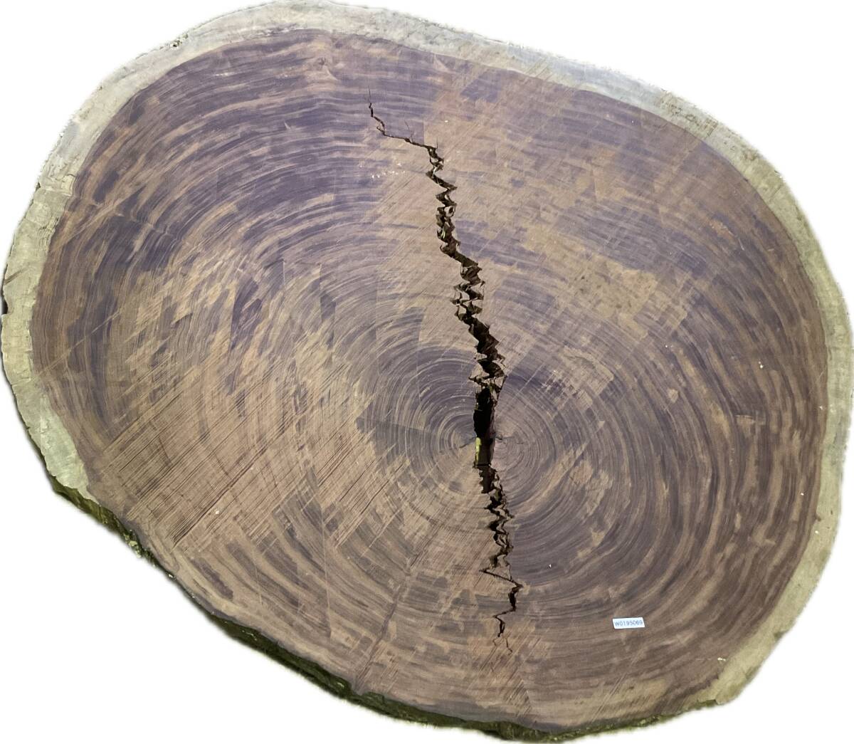 W0195069 ブビンガ 乾燥材 輪切り 一枚板拍卖