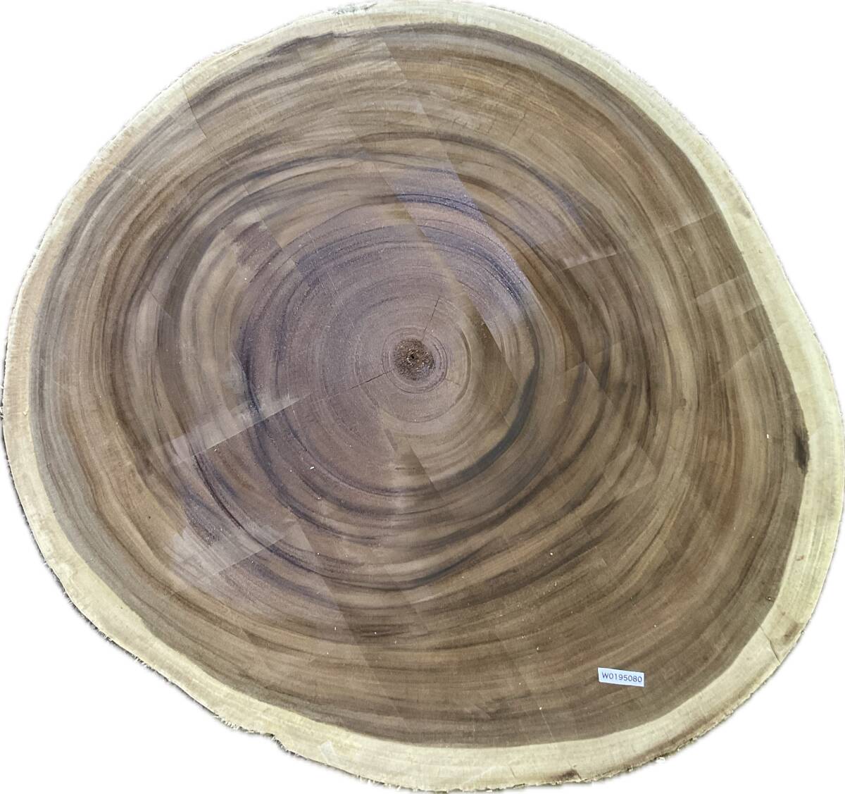 W0195080 モンキーポッド 輪切り 一枚板拍卖