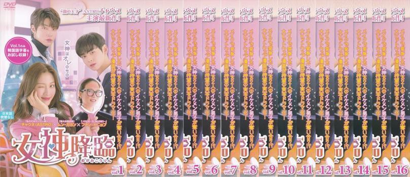 女神降臨 全16枚 第1話~第32話 最終【字幕】 レンタル落ち 全巻セット 中古 DVD拍卖