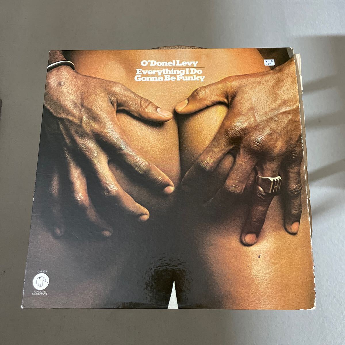 O'Donel Levy Everything I Do Gonna Be Funky 視聴拍卖