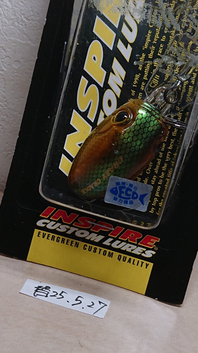 ★クレイジークレイドル エバーグリーン★替25.5.27拍卖