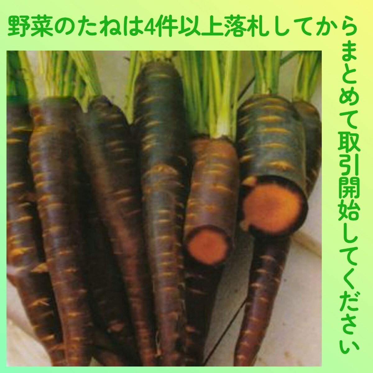 4件以上落札◆ニンジン種◆黒紫キャロット・パープルヘイズ(PURPLE HAZE HYB.F1) 約100粒 にんじん 人参拍卖