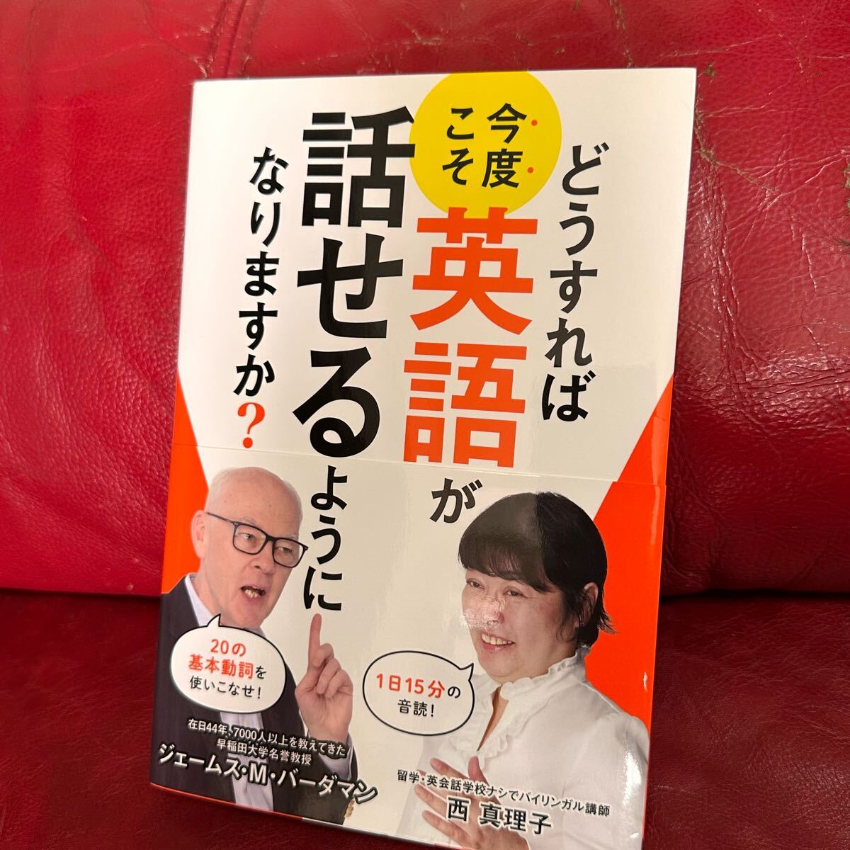 *美品/帯付き【どうすれば今度こそ英語が話せるようになりますか?】拍卖