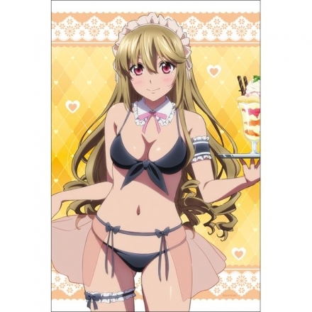 【新品】 ストライク・ザ・ブラッド FINAL 描き下ろしB2タペストリー 藍羽浅葱 ビキニメイド拍卖