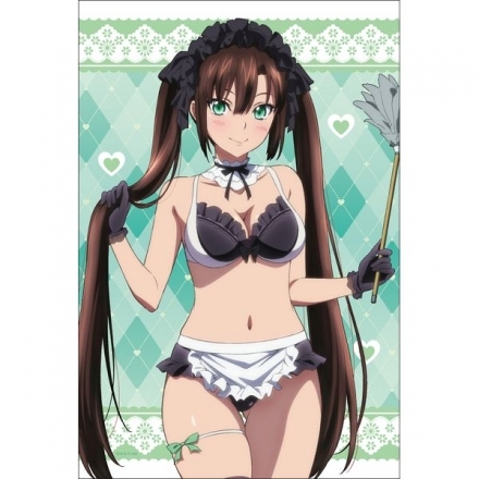 【新品】 ストライク・ザ・ブラッド FINAL 描き下ろしB2タペストリー 煌坂紗矢華 ビキニメイド拍卖