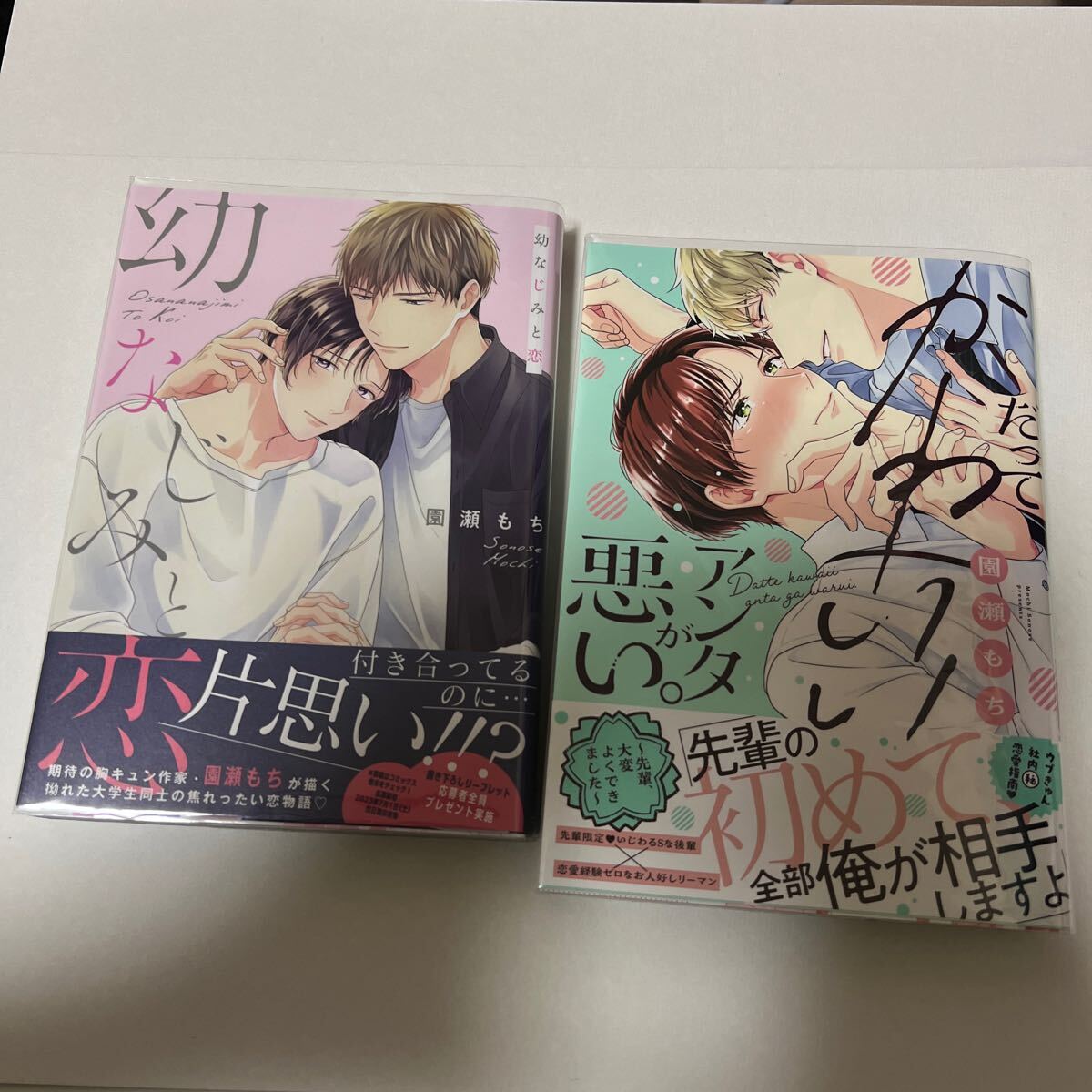 BL 4216 幼なじみと恋、だってかわいいアンタが悪い。…園瀬もち拍卖