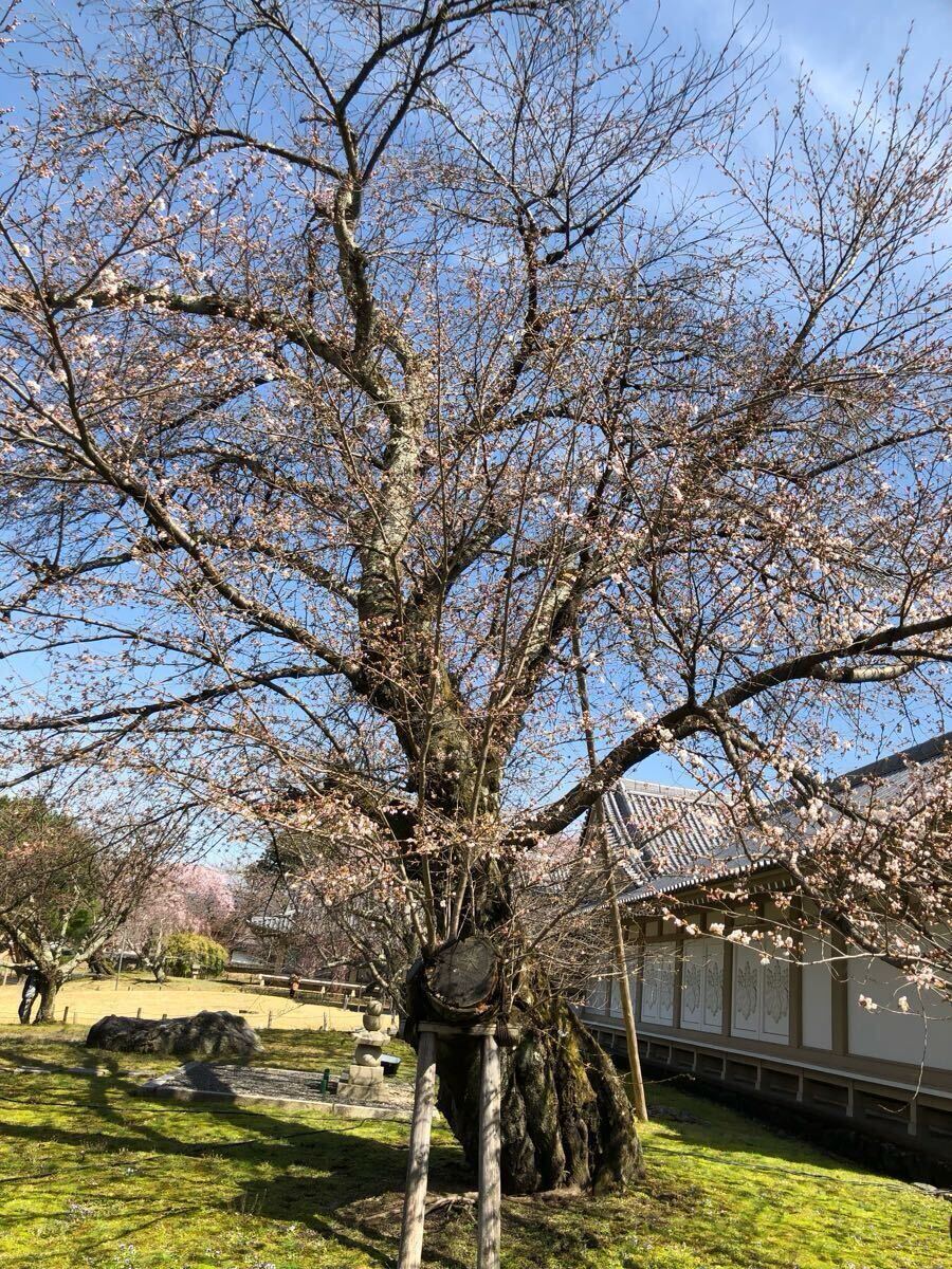 【相互評価】即決1円 商品説明内容必読!フリー画像データ⑩拍卖